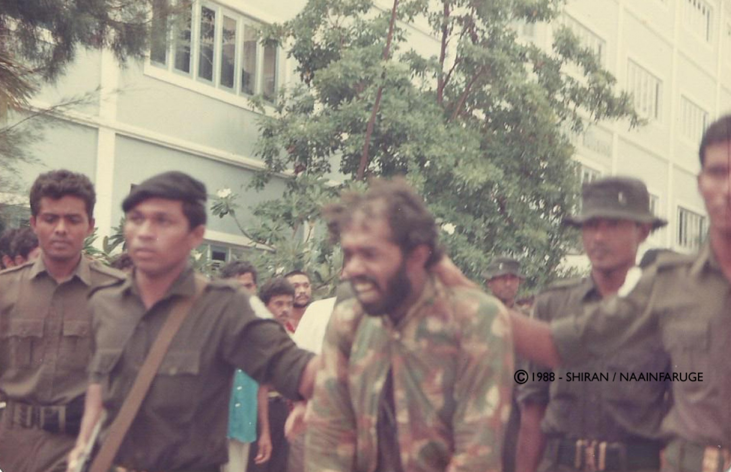 ޕްލޯޓްގެ ހަނގުރާމަވެރިޔަކު ހައްޔަރުކޮށްގެން ގެންނަނީ