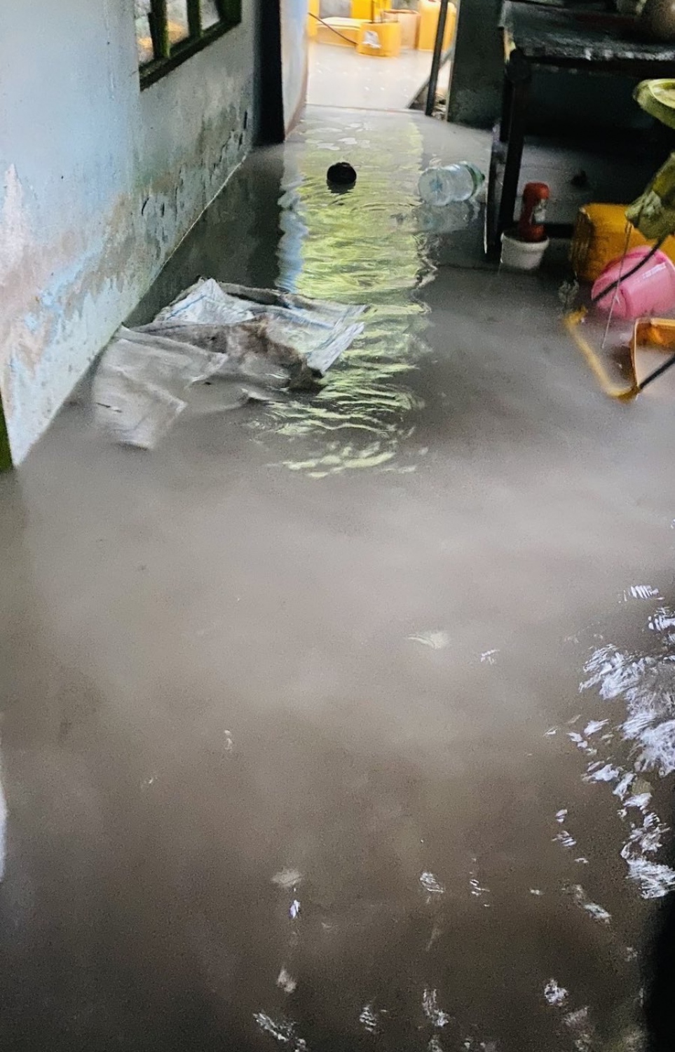 މިއަދު ކުރި ވިއްސާރައިގައި މ.އަތޮޅުގެ ގެއެއްގައި ފެންބޮޑުވެފައި--- ފޮޓޯ/އެންޑީއެމްއޭ