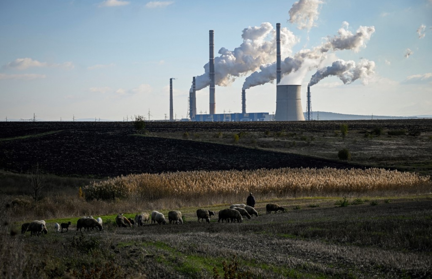 ޗައިނާގެ ބޯޓުދެލި ނަގާ ކާރުހާނާއެއްގައި މަސައްކަތް ކުރަނީ