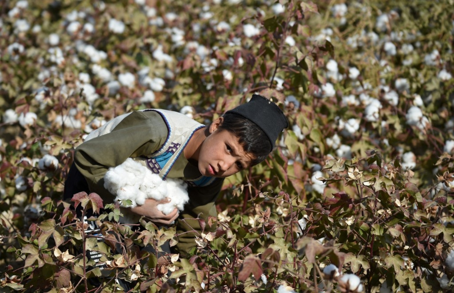 އަފްގާނިސްތާނުގެ އަވަށެއްގެ ޒުވާނަކު ކަފަ ދަނޑެއްގައި މަސައްކަތް ކުރަނީ: ހައިހޫނުކަން އިތުރުވަމުން އަންނަ އިރު ކާބޯތަކެތި ހޯދާނެ ގޮތަކާ މެދު ވަނީ ސުވާލު އުފެދިފައި. --އޭއެފްޕީ