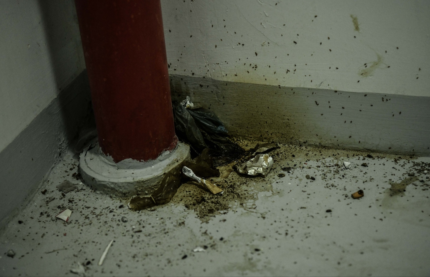 ހިޔާ ފްލެޓްގެ ޓެރަސް ސިޑި ކައިރިއަށް ބޮޑުކަމުގޮސްފައި: މުޅި ތަން ވަނީ ނަޖިސްވެފައި. -- ފޮޓޯ: ނިޝާން އަލީ / މިހާރު