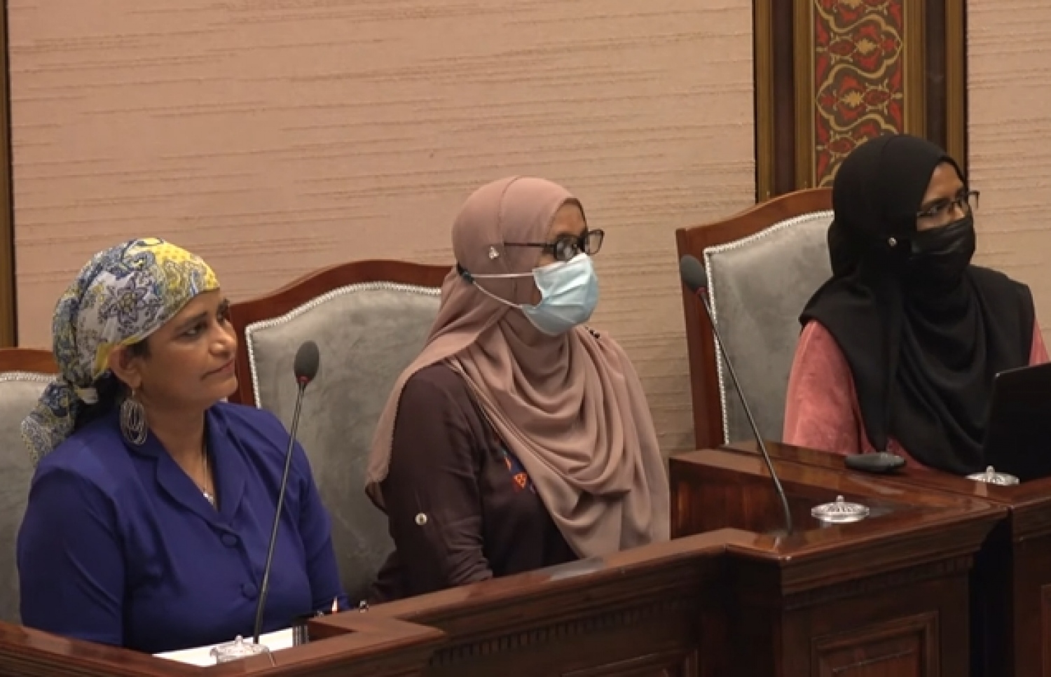 އެމްއެންޔޫގެ ރިސާޗަރުން، ރައްޔިތުންގެ މަޖިލީހުގެ މިއަދުގެ ޖަލްސާގައި ބައިވެރިވެވަޑައިގަންނަވަނީ. -- ފޮޓޯ/ މަޖިލިސް