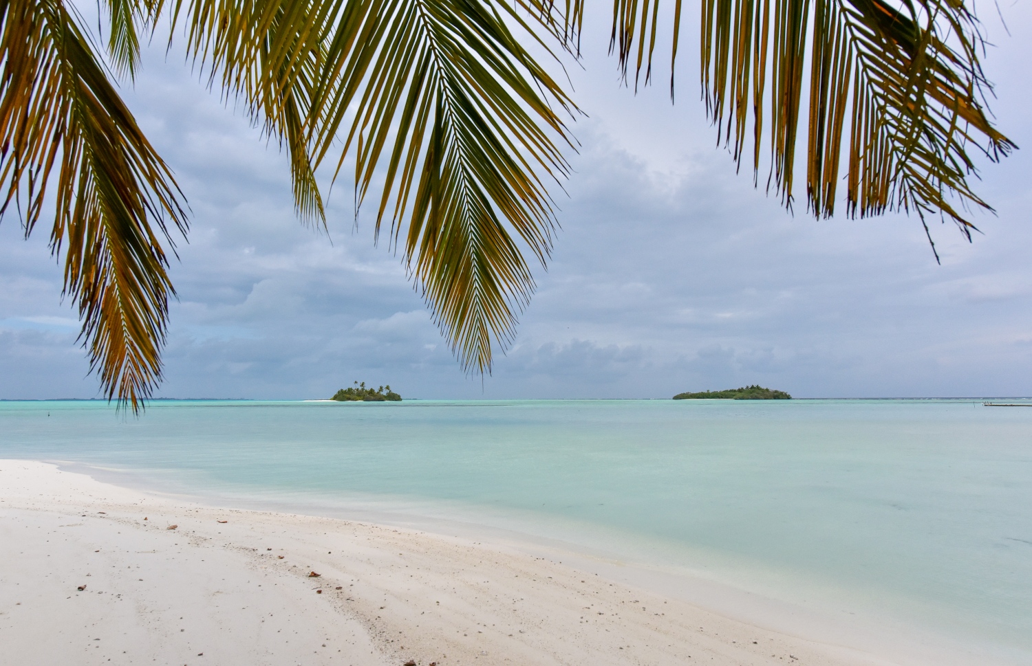 ނޮވެމްބަރު 22، 2021: ރިހިވެލި ރިސޯޓުގެ ބީޗް: ރީތި ބޮޑު ފަޅެއްގައި އޮތް ރިހިވެލި ރިސޯޓު ކުރިމަތީގައި ފެންނަން އޮތް ރިހިވެލީގެ އިހްތިޝާސްތެރޭގައި އޮންނަ ފަޅު ދެ ރަށް، މި ރަށުގައި ގިނަ ބާވާތްތަކުގެ ދޫނި ދިރިއުޅޭ -- ފޮޓޯ: ފަޔާޒު މޫސާ / މިހާރު