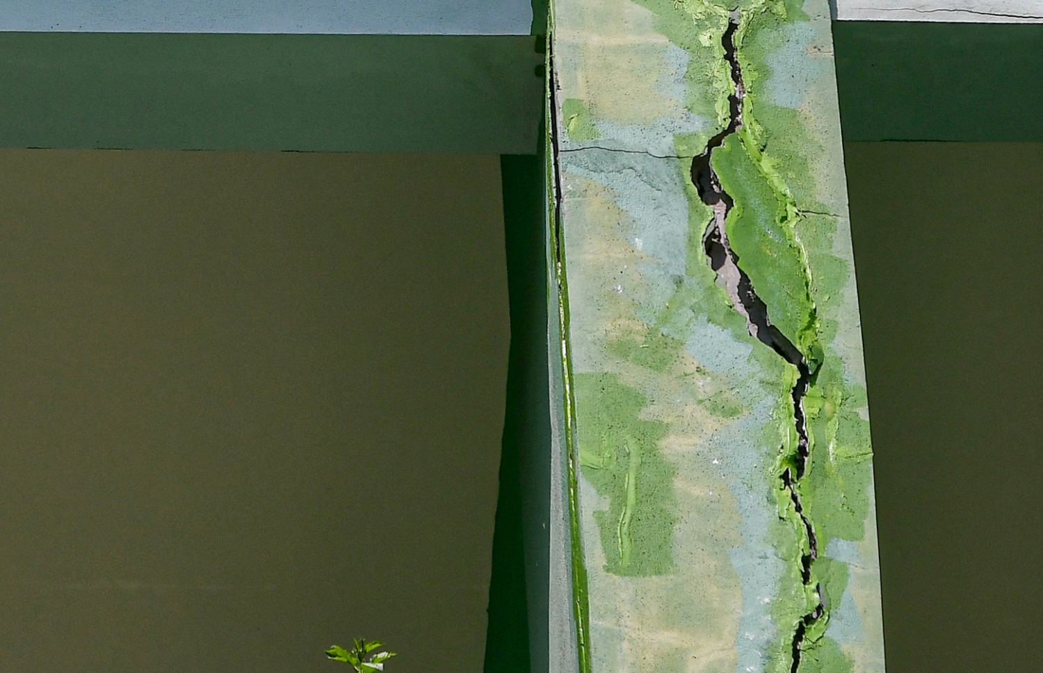 އަރަބިއްޔާ ސްކޫލުގެ އިމާރާތުގެ ތަނބެއްގައި ރެނދުލާފައި.-- ފޮޓޯ: ފަޔާޒު މޫސާ/ މިހާރު