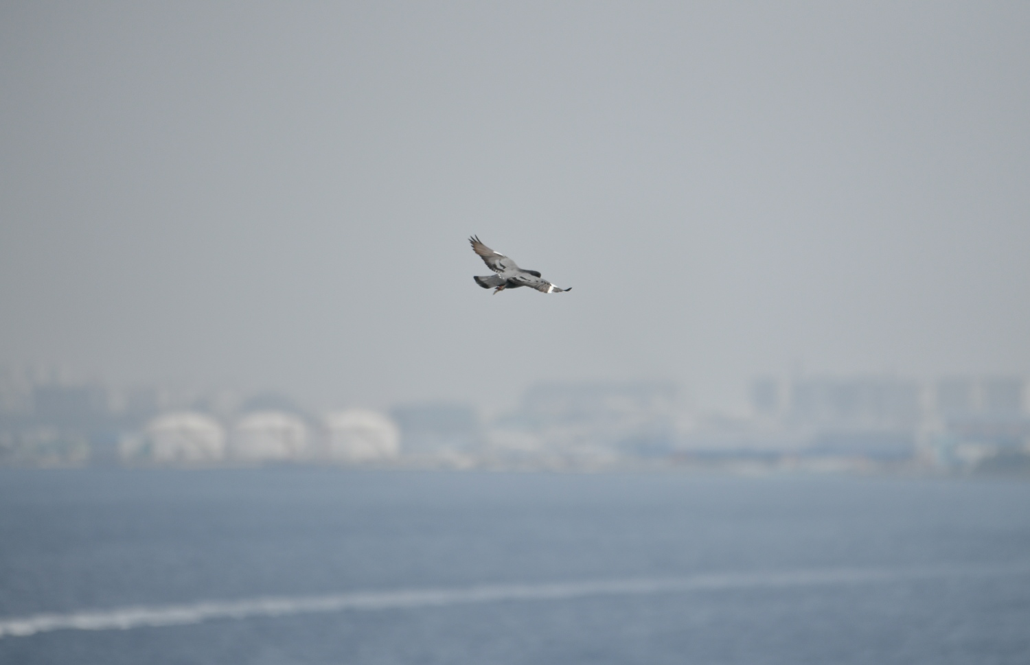 މާލޭ ސަރަހައްދު އެއްކޮށް ކަހަލަގޮތަކަށް ފުސްވެފައި، މީ އިންޑިއާގެ ވައި ތަޣައްޔަރުވުމުގެ ސަބަބުން އުފެދިފައިވާ ފުސްކަމެށް -- ފޮޓޯ: ފަޔާޒު މޫސާ / މިހާރު