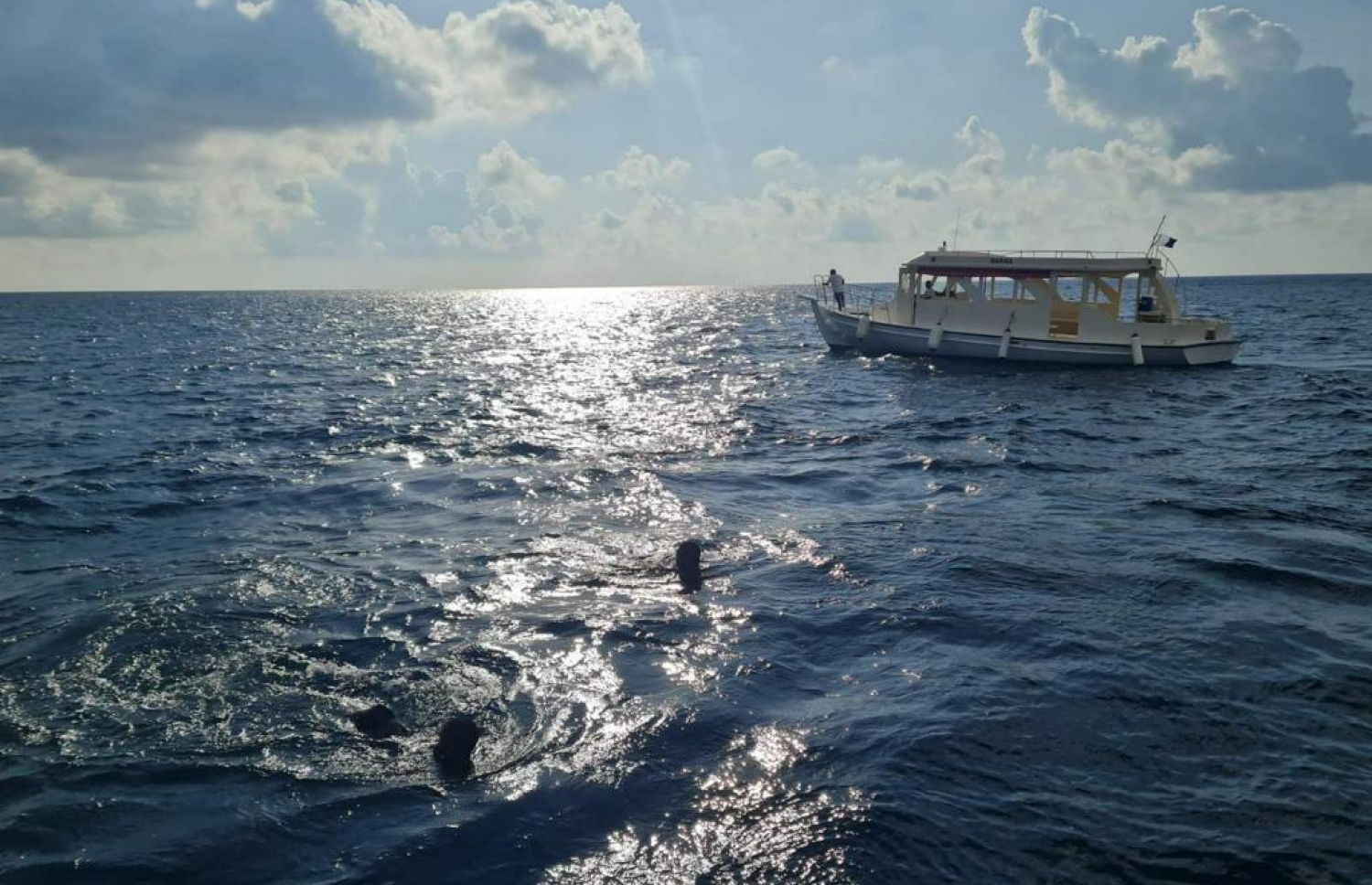 ޑައިވިނަށް ގޮސް އުޅެނިކޮށް ގެއްލުނު ޓޫރިސްޓް މީހާ ހޯދުމަށް އެމްއެންޑީއެފުން ކަނޑުގެ ސަރަހައްދު ބަލަނީ.-- ފޮޓޯ: އެމްއެންޑީއެފް