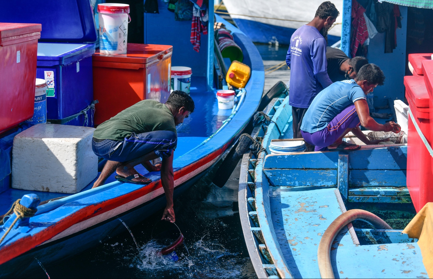 މަސް މާރުކޭޓް ސަރަހައްދު ފަޅުތެރޭ އަޅާފައިވާ ދޯންޏެއްގެ ފަޅުވެރިއަކު އެތަނުގެ މޫދުން ލޮނު ބާލިދީއެއް ނަގަނީ. -- ފޮޓޯ: ނިޝާން އަލީ/މިހާރު