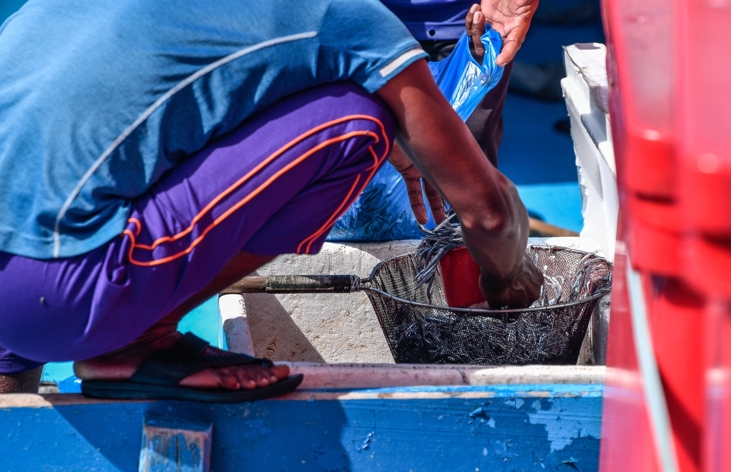 މަސް މާރުކޭޓް ސަރަހައްދު ފަޅުތެރޭ އަޅާފައިވާ ދޯންޏެއްގެ ފަޅުވެރިއަކު ރެހިތަކެއް ނަގައި ޓައްޕަކަށް އަޅަނީ. -- ފޮޓޯ: ނިޝާން އަލީ/މިހާރު