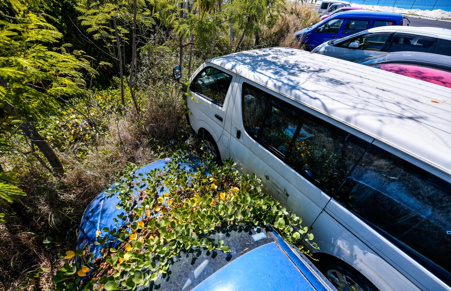 ހުޅުމާލެ: ޖެނުއަރީ 20، 2022: ޕާކުކޮށްފައި ހުންނަތާ އެތައް ދުވަަހެއްވުމުގެ ސަބަބުން ބައެއް ވެހިކަލްތަކުގައި ވެޔޮގަނޑު ހެދިފައި-- ފޮޓޯ: ފަޔާޒު މޫސަ / މިހާރު