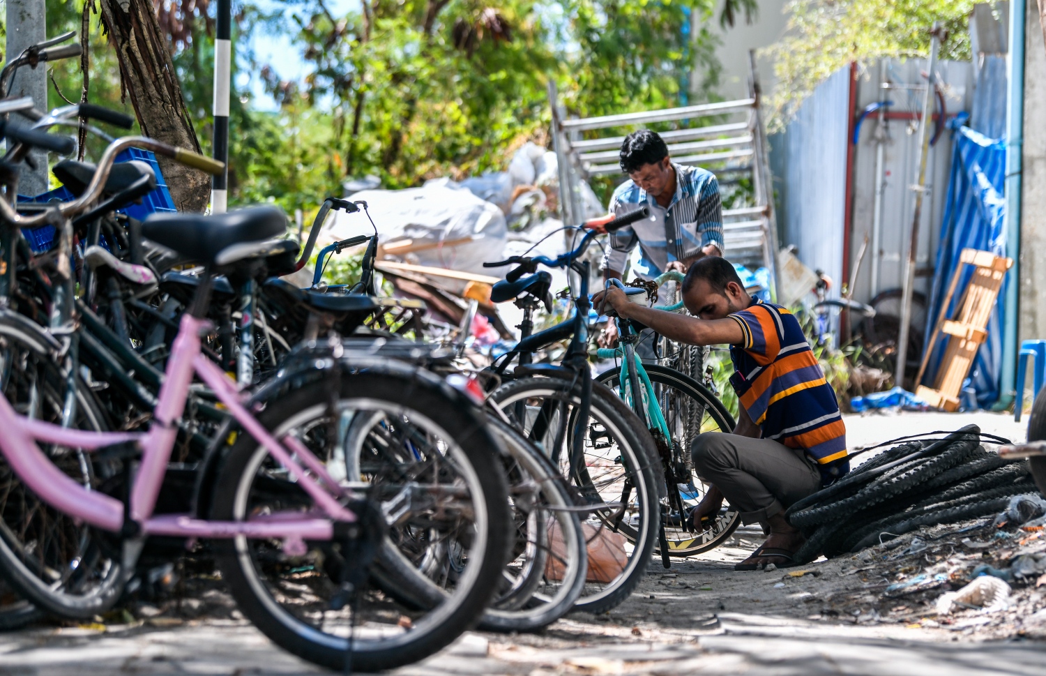 ހުޅުމާލެ: ޖެނުއަރީ 20، 2022: ހުޅުމާލޭގެ އެކި ސަރަހައްދުތަކުގައި ބޭނުންނުކޮށް އުކާލެވިފައި ހުރި ބައިސިކަލްތައް އިންޓަސްޓްރިއަލް ޒޯނަށް ގެނެސް ބިދޭސީ މަސައްކަތު މީހުން މަރާމާތުކުރަނީ: މި ސަރަހައްދުގައި ގިނަ އަދަދަކަށް ބިދޭސީން ދިރިއުޅޭ-- ފޮޓޯ: ފަޔާޒު މޫސާ / މިހާރު