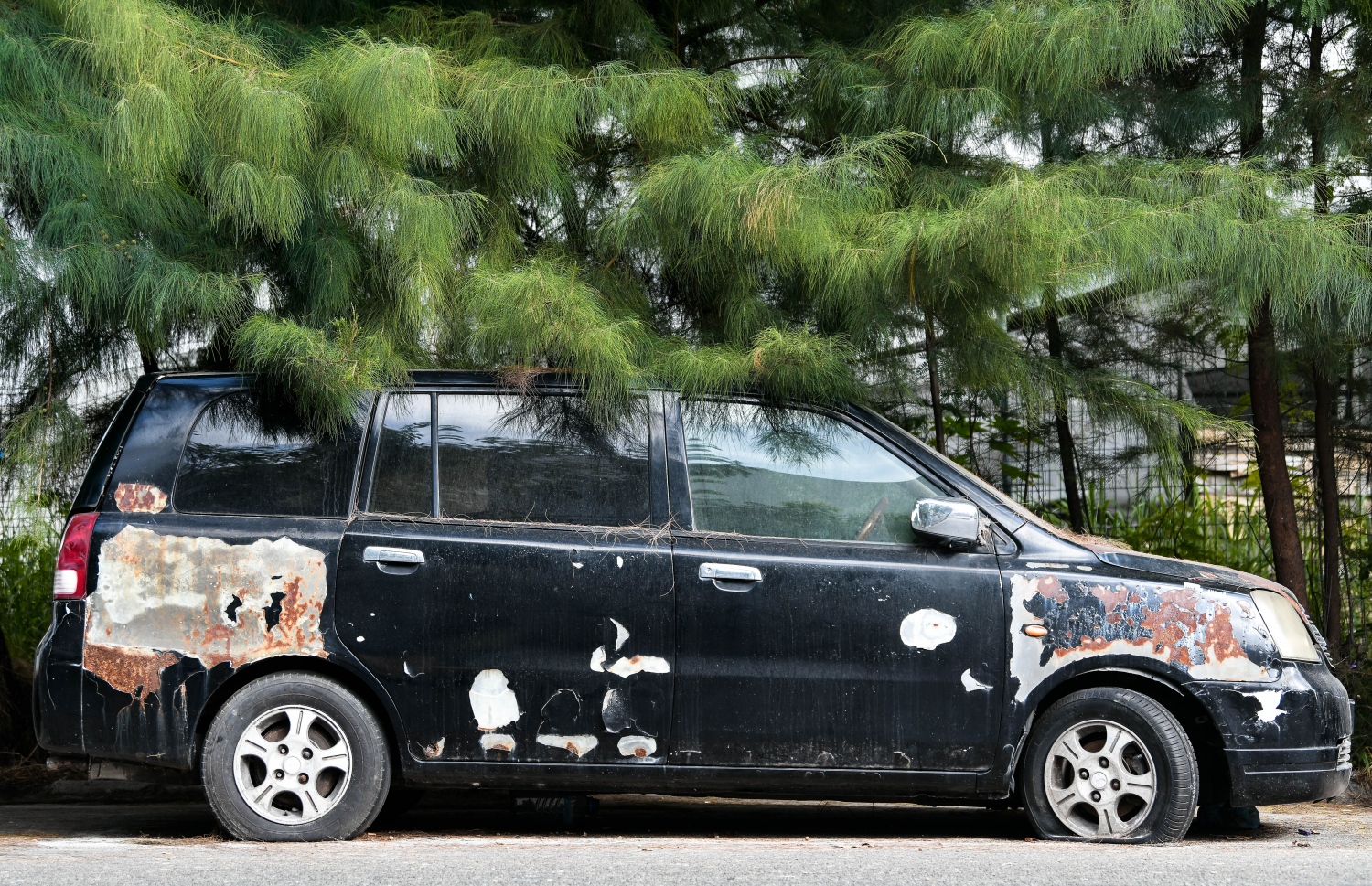 ހުޅުމާލެ: ޖެނުއަރީ 20، 2022: އިންޓަސްޓްރިއަލް ސަރަހައްދުގެ މަގެއްގައި ޕާކްކޮށްފައި އޮތް ބަހެއް، ގިނަ ދުވަސްވުމުގެ ސަބަބުން ޖެހިގެން ހުރި ގަހުގެ ގޮފިތައް ބަހުގެމައްޗަށް ނިކުމެފައި-- ފޮޓޯ: ފަޔާޒު މޫސާ / މިހާރު