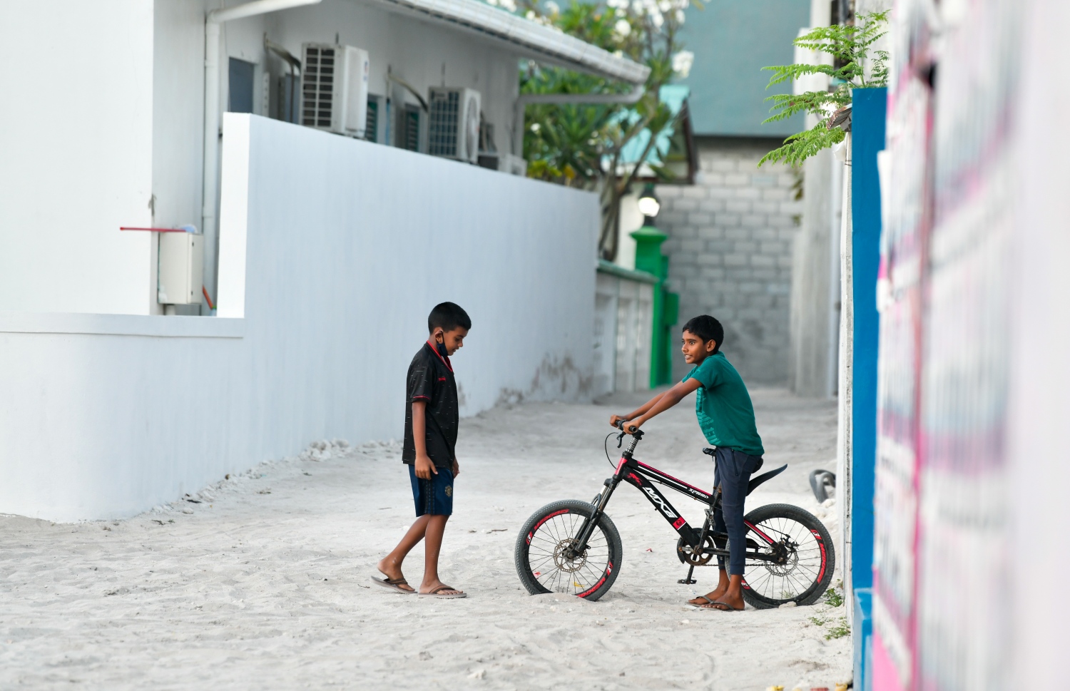 ކޮމަންޑޫގައި ދެ ކުއްޖަކު މަގެއްގެ މަތީގައި. ރައްޔިތުންގެ އުއްމީދަކީ ދެ ކޮމަންޑޫ ގުޅާލުން. -- ފޮޓޯ: ފަޔާޒް މޫސާ/ މިހާރު