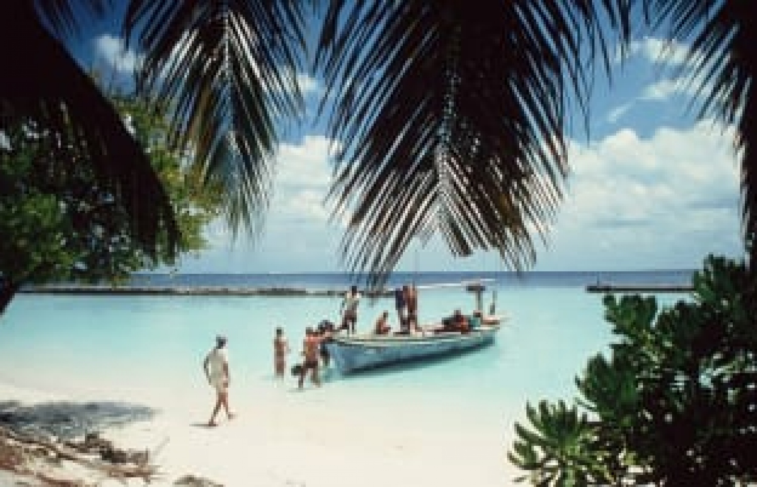 ރާއްޖެ އަށް އައި ޓޫރިސްޓުންތަކެއް 70ގެ ތެރޭގައި ކުރުނބާ ވިލެޖަށް ފައިބަނީ -- ފޮޓޯ: ކުރުނބާ ވިލެޖް