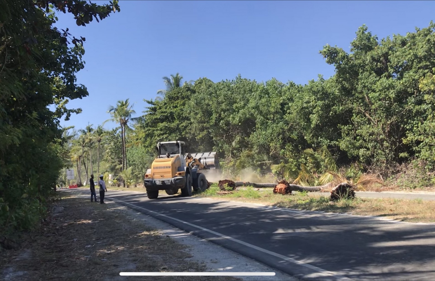 ނުރައްކާތެރި ހާދިސާތައް ހިނގާތީ އައްޑޫ ލިންކް ރޯޑްގެ ދެ ފަރާތުގައި ހައްދާފައިވާ ރުށްތައް ކަނޑަނީ.-- ފޮޓޯ: ޝުޖާއު / ޓުވިޓާ