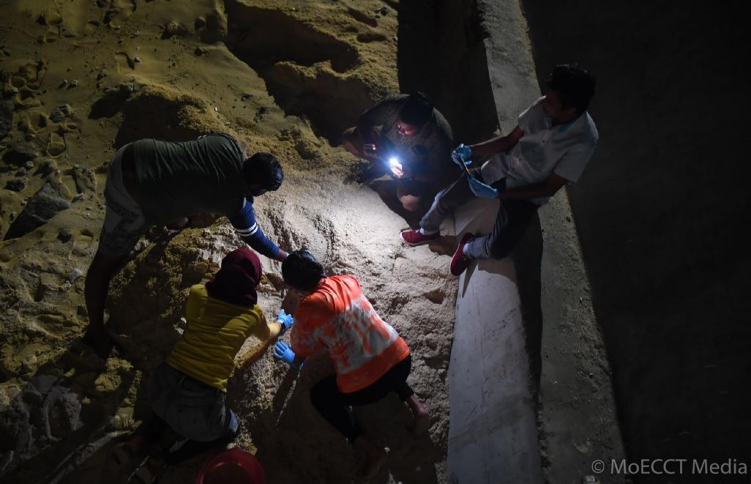 ވެލާ ބިސް އަޅަން އެރި ސަރަހައްދުގައި މިނިސްޓްރީގެ މުވައްޒަފުން ހަރަކާތްތެރިވަނީ.--- ފޮޓޯ: އެންވަޔަރުމެންޓް މިނިސްޓްރީ