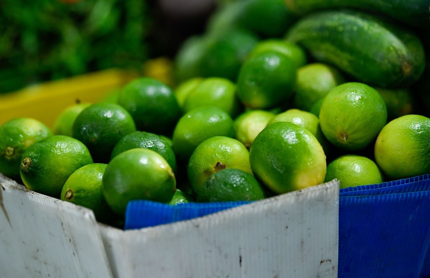 ލޯކަލް މާރުކޭޓުގައި ހުރި ލުބޯ ބާސްކެޓެއް. އެސްޓީއޯއިން ވަނީ ލުބޯ އިންޑިއާއިން ގެންނަން ފަށާފައި-- ފޮޓޯ: މިހާރު