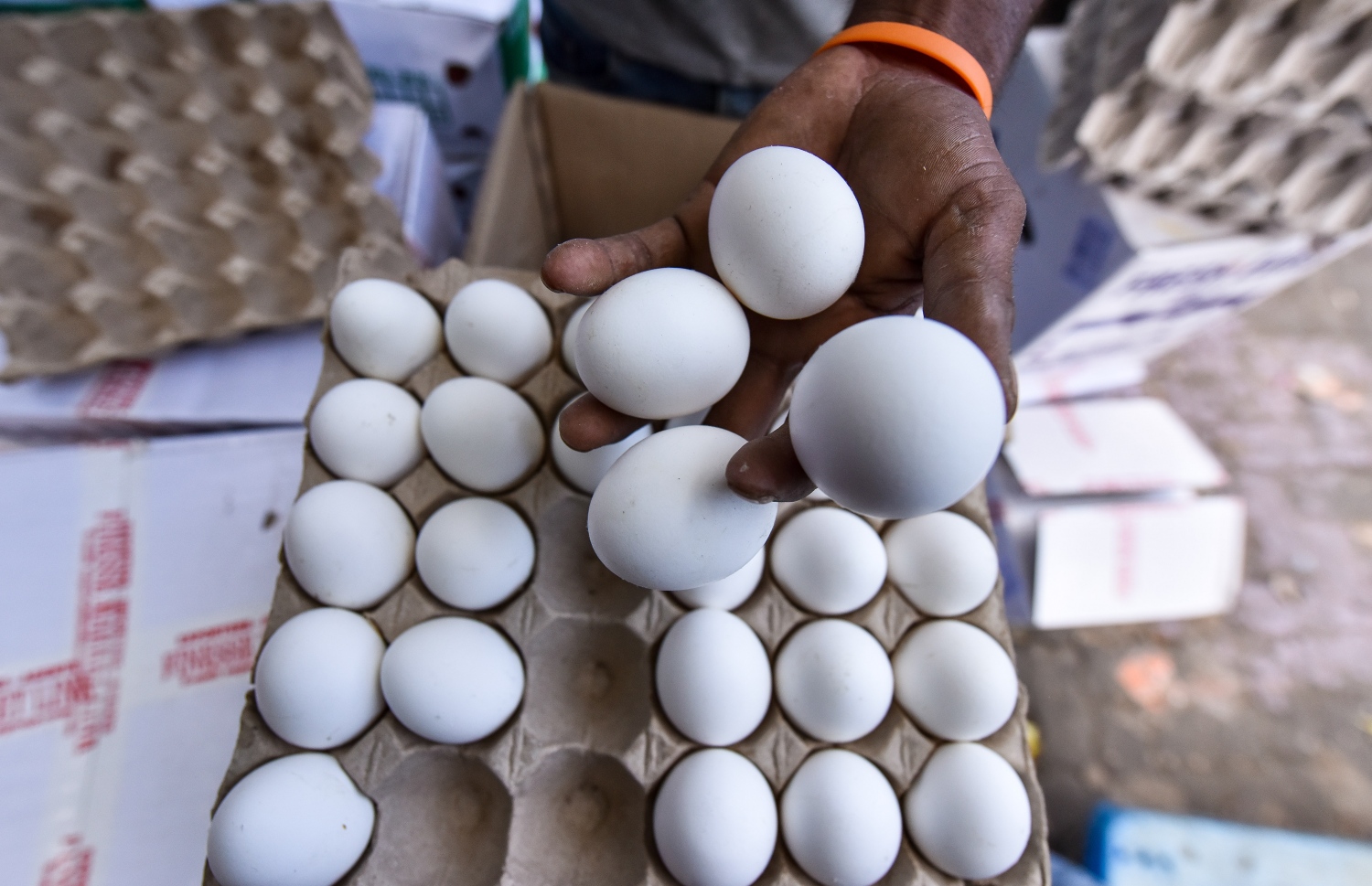 ބާޒާރުމަތީ ފިހާރައެއްގެ ބޭރުގައި ބަހައްޓާފައި ހުރި ބިސްކޭސްތަކެއް ސާފުކުރަނީ: ބިސް ކޭހެއް އެވްރެޖްކޮށް އުޅެނީ 300ރ. ގައި --. ފޮޓޯ: ފަޔާޒް މޫސާ | މިހާރު