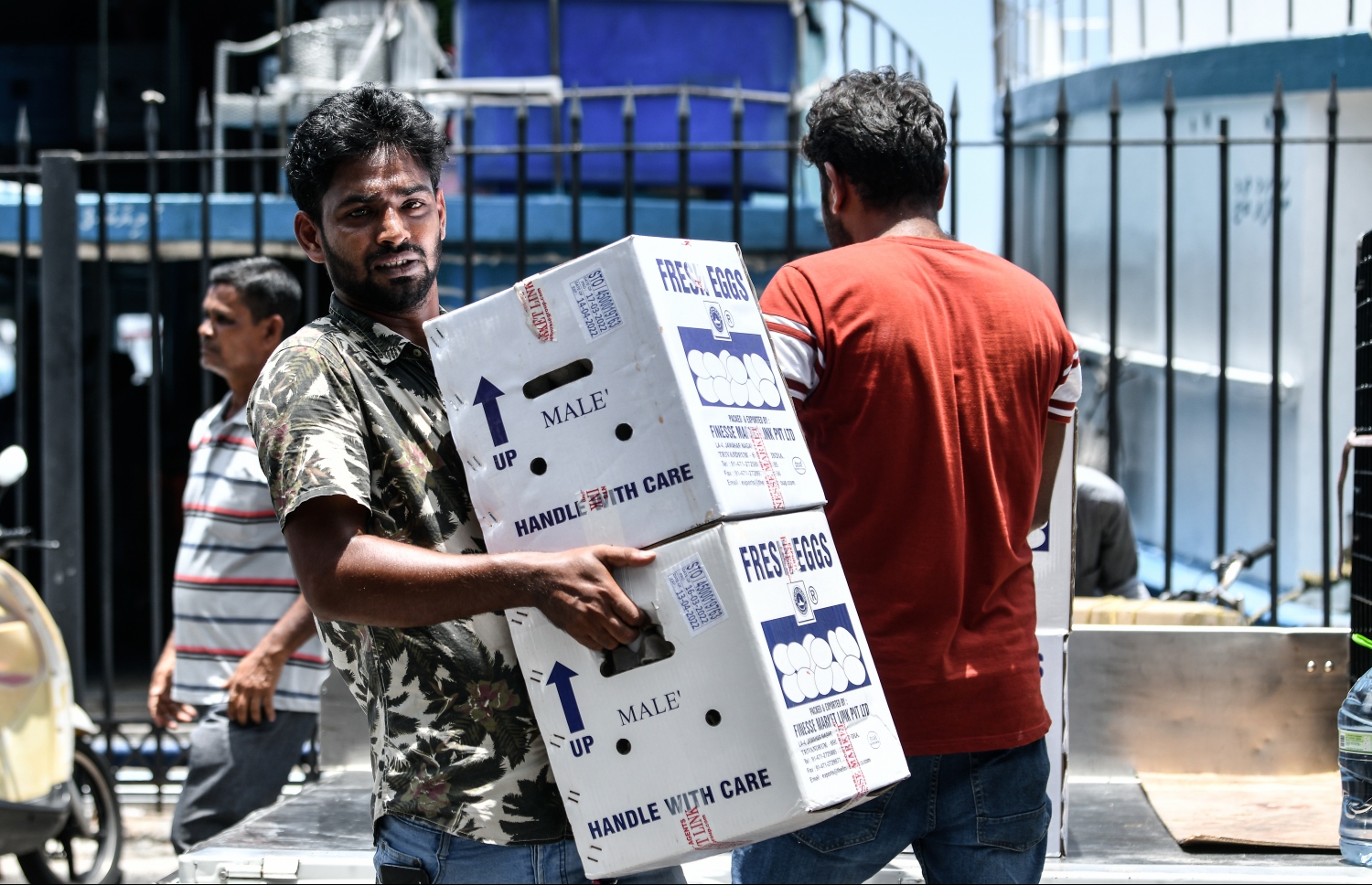 ބާޒާރުމަތީ ފިހާރައަކަށް މީހަކު ބިސް ކޭސްތަކެއް ގެންދަނީ: ބިސް ކޭހެއް އުޅެނީ 300ރ. ގައި --. ފޮޓޯ: ނިޝާން އަލީ | މިހާރު