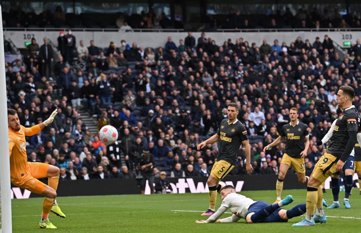 ޑޮހަޓީ، ޓޮޓެންހަމް މޮޅުވި ލަނޑު ޖަހަނީ.-- ފޮޓޯ: އޭއެފްޕީ