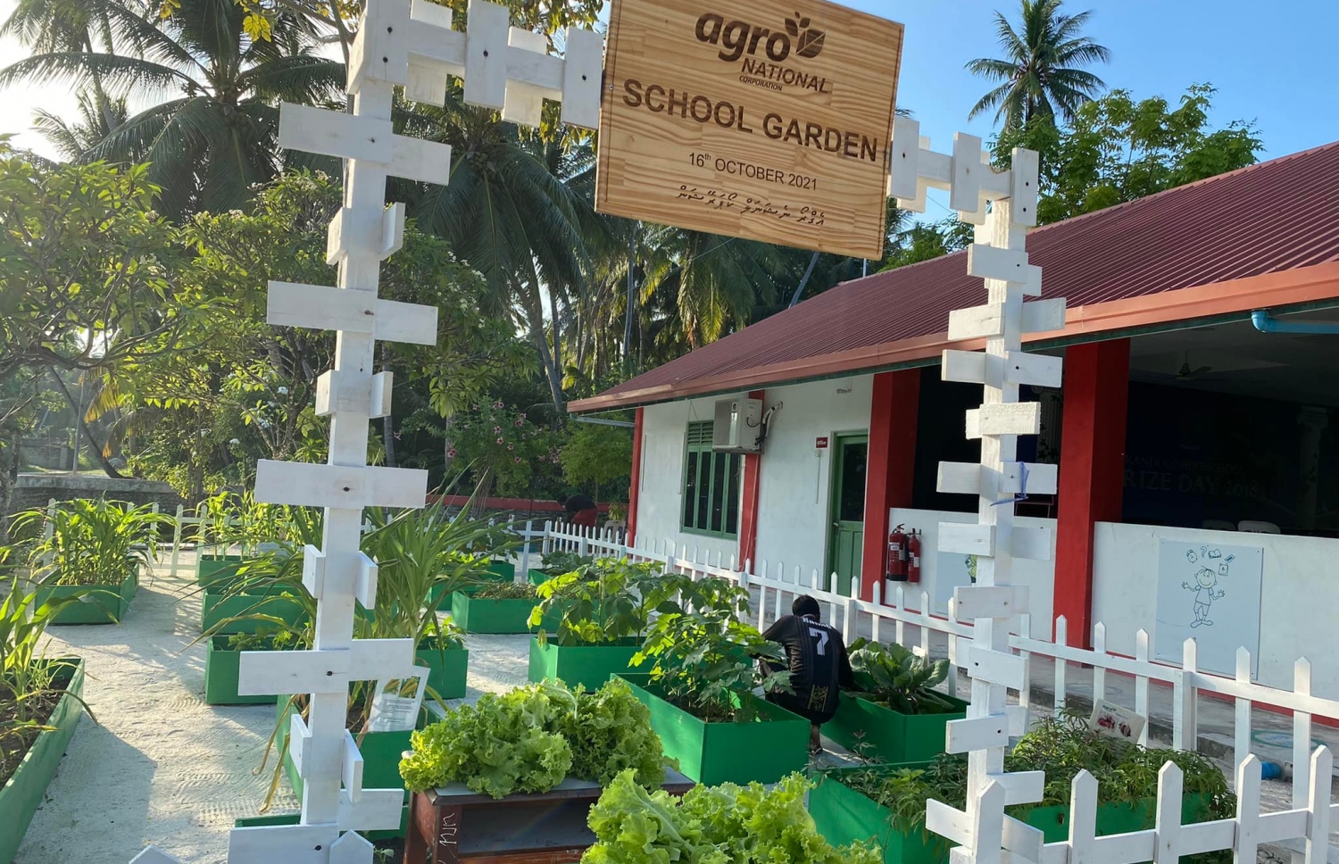 ކަނޑޫދޫ ސްކޫލުގައި އެގްރޯނެޓުން ކުރިއަށް ގެންދިޔަ ހައިޑްރޮޕޯނިކްސް މަޝްރޫއު -- ފޮޓޯ: އެގްރޯނެޓް