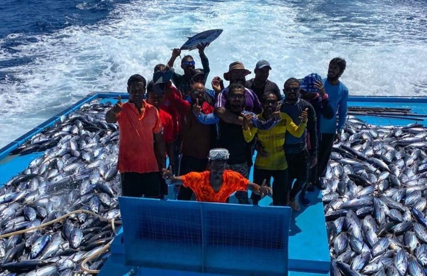 ދެކުނު ދޯންޏެއްގެ މަސްވެރިން ގިނަ އަދަދެއްގެ މަސް ބޭނުމުން ފޮޓޯއަކަށް ހުއްޓިގެން.