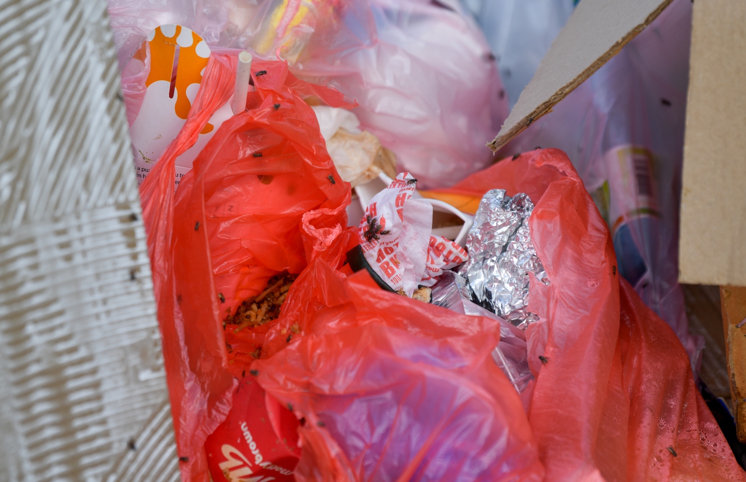 ގާކުނޑި އާއި އެހެނިހެން ކުނިތައް އުކާލާ ސަރަހައްދަށް، އަވަހަށް ކުނިވާ ޒާތުގެ ކުނިތައް އުކާފައި ހުރިއިރު، މި ސަރަހައްދުތަކުގައި ކުނި އަޅާ ޑަސްބިންތައް ވެސް ވެމްކޯ އިން ބަހައްޓާފައި ހުރޭ. އެކަމަކު ބައެއް މީހުން އޭގެ ބޭނުމެއް ނުހިފާ.--- ފޮޓޯ: ފަޔާޒު މޫސާ | މިހާރު