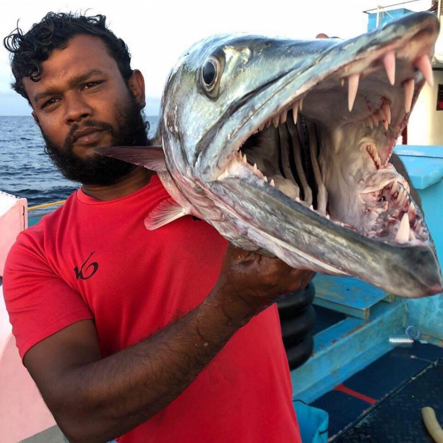 ގެމަނަފުށީގެ "ދޮންދީދީ" ދޯނީގެ ކެޔޮޅު ޔާމީން: އޭނާ ބުނާގޮތުން އެ ރަށުން މަސްވެރިކަމަށް ނުކުންނަ މީހުންގެ އަދަދު މިހާރުގެ މަދު.