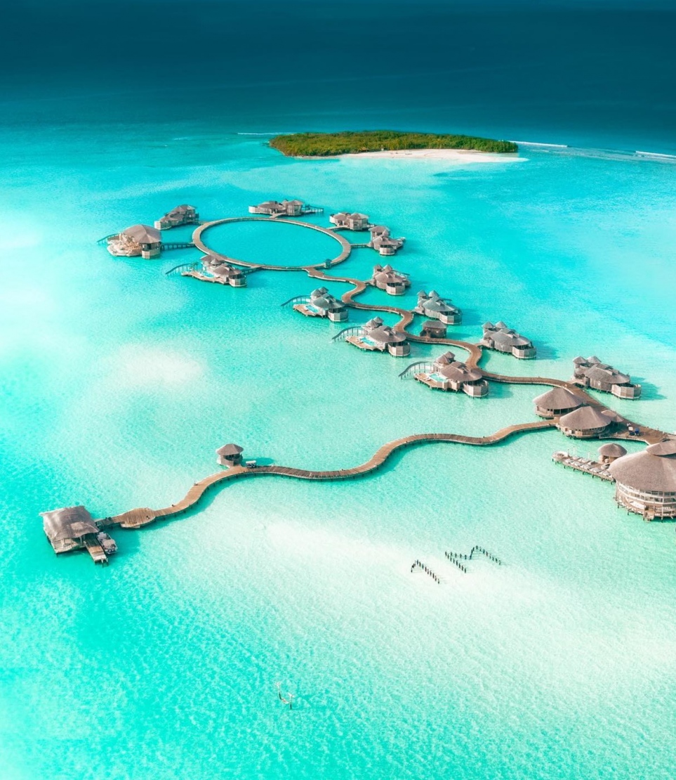 ޑިސްކަވާ ސޮނެވާގެ އިންސްޓަގްރާމްގައި އެއް މިލިއަން ފޮލަވާސް ހަމަވުމުން ހިންގި ކެމްޕެއިންގެ ތެރެއިން ނެގި ސޮނެވާ ޖާނީގެ ފޮޓޯއެއް -- ފޮޓޯ: އަކްޝަމް