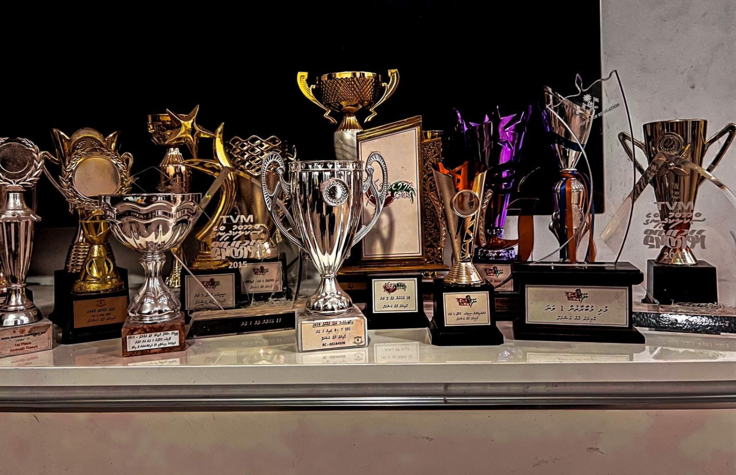 މަދަހަ އާއި ލަވަ މުބާރާތްތަކުގައި ބައިވެރިވެގެން ރާޔާއަށް ލިބިފައިވާ ބައެއް ޓްރޮފީތައް-