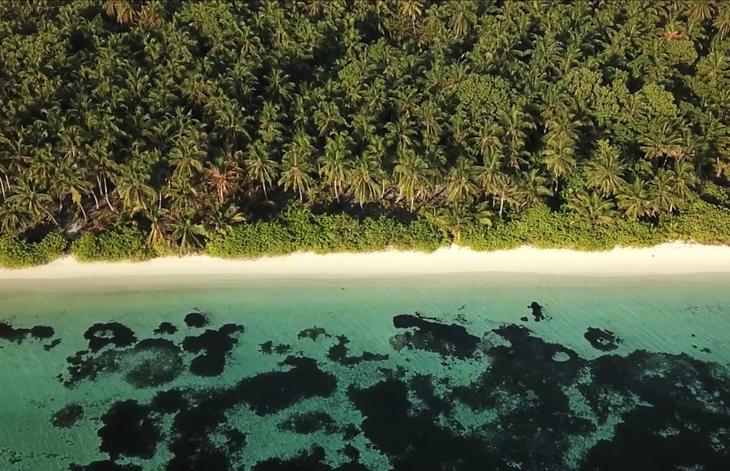 ކޮނޑޭ، މަތިން ފެންނަ ގޮތް.