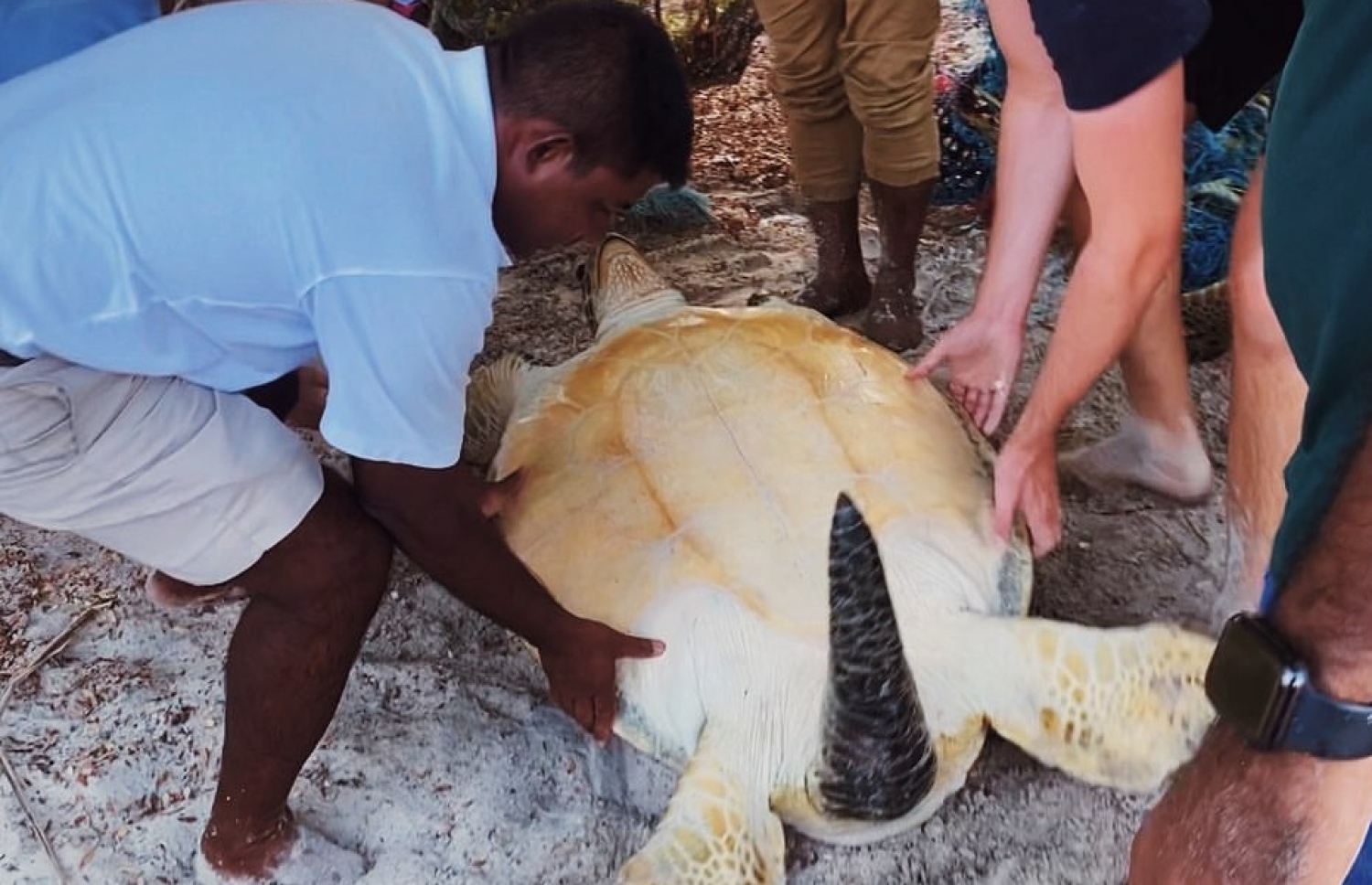 ލ. އަތޮޅުގެ ފަޅުރަށެއްގައި ބަޔަކު ފުރޮޅާފައި އޮތް ވެލައެއް ސަލާމަތްކުރަން ރެސްކިއު ޓީމުން މަސައްކަތްކުރަނީ -- ފޮޓޯ: މޯލްޑިވްސް އަންޑަ ވޯޓާ އިނީޝީއޭޓިވް އިންސްޓަގްރާމް