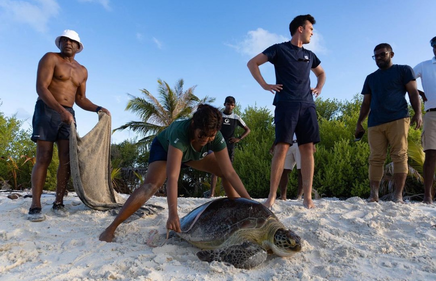 ލ. އަތޮޅުގެ ފަޅުރަށެއްގައި ބަޔަކު ފުރޮޅާފައި ހުރި ވެލާތައް ސަލާމަތްކޮށް، މޫދަށް ދޫކޮށްލަނީ -- ފޮޓޯ: މޯލްޑިވްސް އަންޑަ ވޯޓާ އިނީޝީއޭޓިވް އިންސްޓަގްރާމް