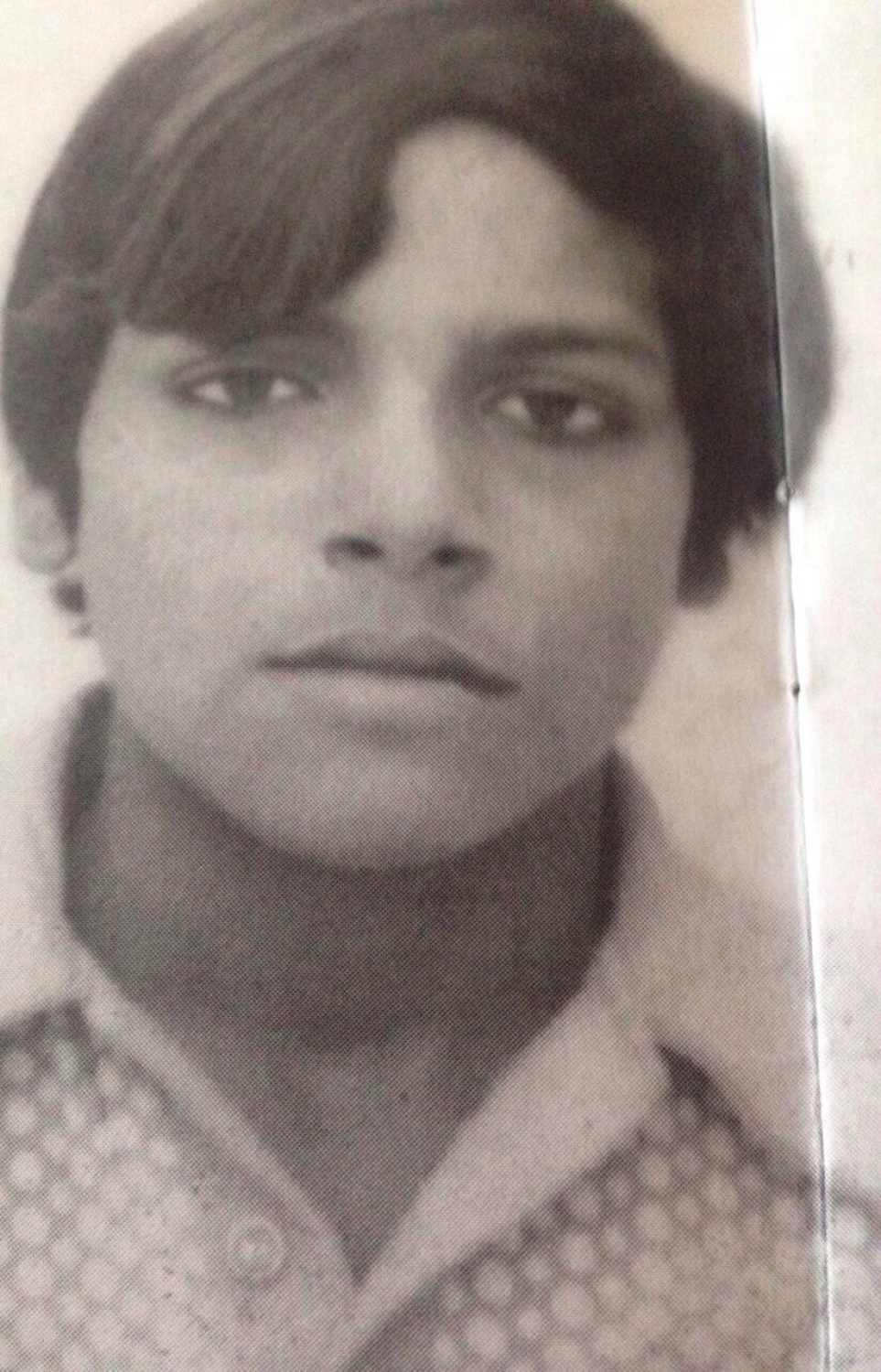 މޫސަ ކުޑައިރުގެ ފޮޓޯއެއް.