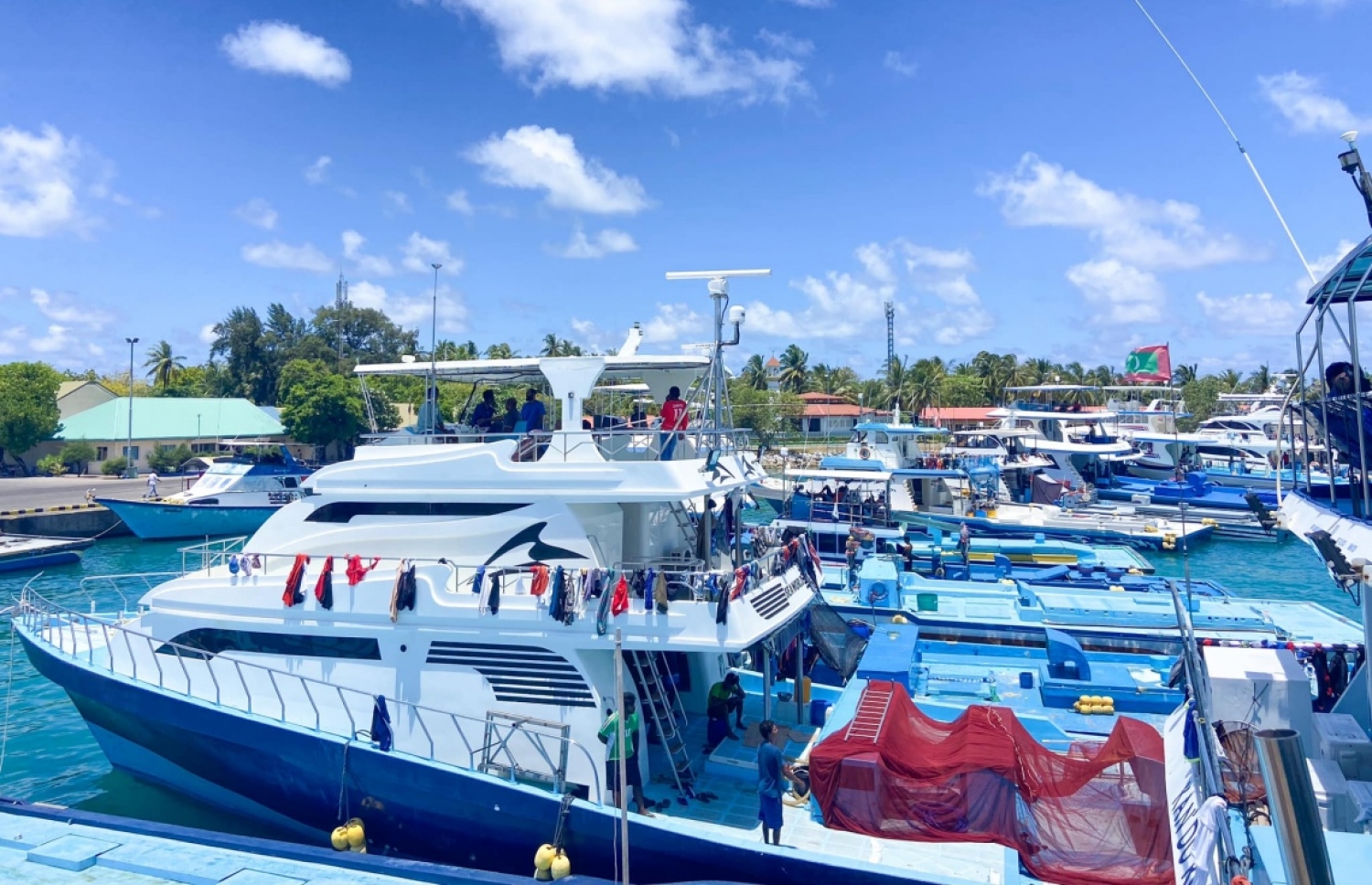 ދޯނިތަކެއް މަސް ކިރުވަން ކޫއްޑޫއަށް ބަނދަރުކޮށްފައި-- ފޮޓޯ: ފަރެސްމާތޮޑާ މަސްވެރިން/ ފޭސްބުކް