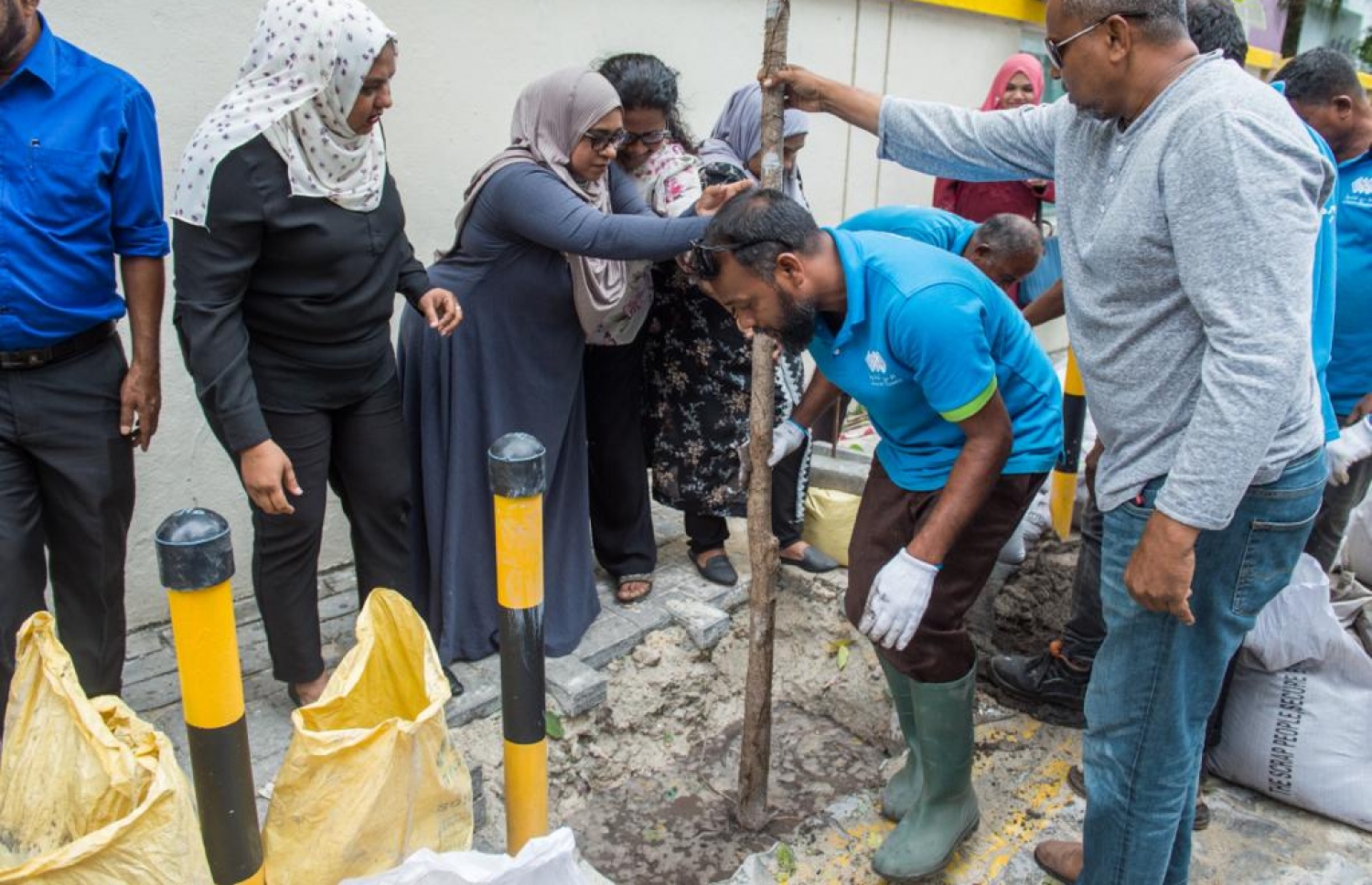 މާލޭ ސިޓީ ކައުންސިލުގެ މެމްބަރުން ކަނބާ އައިސާ ރަނި ހިނގުމުގައި އަނބުގަސް އިންދަނީ -- ފޮޓޯ: މާލޭ ސިޓީ ކައުންސިލް
