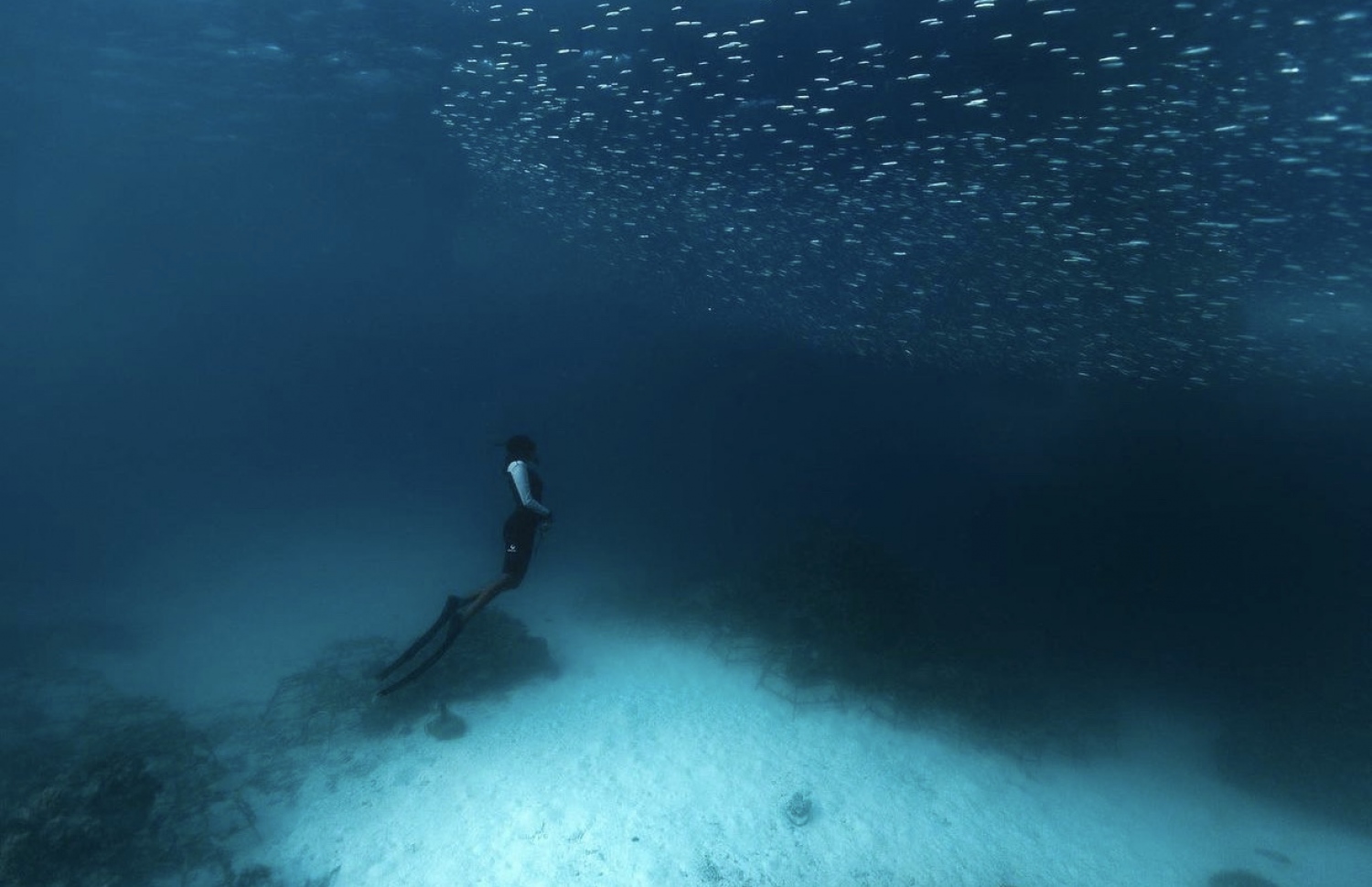 އިޝާ ސްނޯކްލިން ކުރަނީ: އޭނާ ކުރިން މޫދު ދެކެ ވަރަށް ބިރުގަތް -- ފޮޓޯ: ރިޒްހާން | ސޯލްޓް އެންޑް ސަނީ