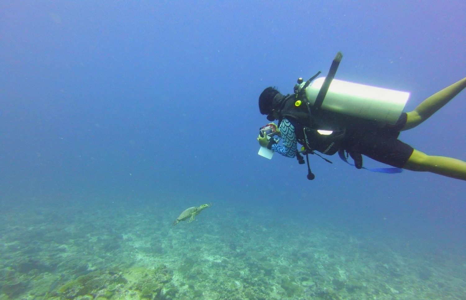 އިޝާ ޑައިވްކުރަނީ: އޭނާ ޑައިވްކުރަން ދަސްކުރީ ވިލިމާލޭގައި ހުންނަ މޫދުބުޅާ ޑައިވިން ސެންޓަރުން -- ފޮޓޯ: އިޝާ