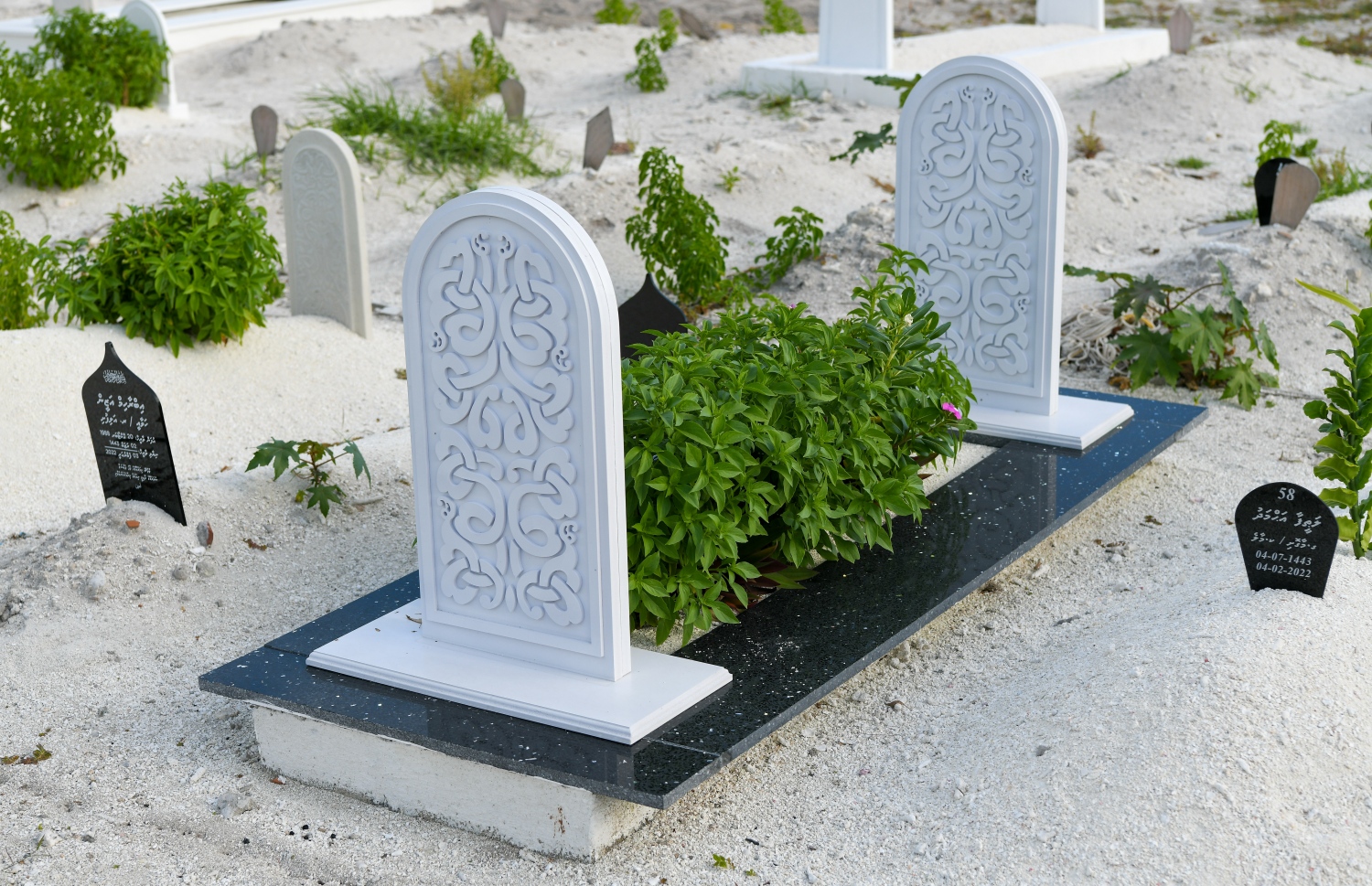 އާސަހަރާގައި ގާފޮޅު ރާނާފައިވާ މަހާނައެއް -- ފޮޓޯ/ ފަޔާޒު މޫސާ