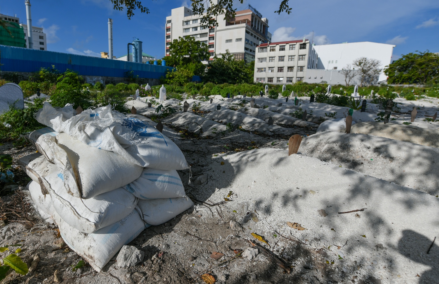 އާސަހަރާ ތެރޭގައި ވެލި ބަސްްތާތަކެއް ބަހައްޓާފައި، މީހުން ވަޅުލަން ވެލި ނެރޭނީ ވަޅުލަން ވީމާ އެކަނި -- ފޮޓޯ/ ފަޔާޒު މޫސާ