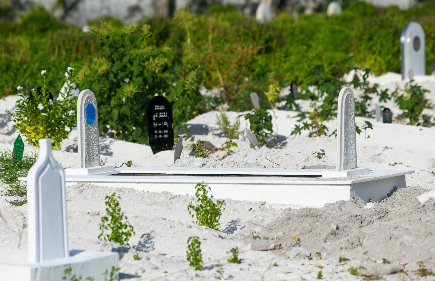 ސަހަރާއަށް ދާ މީހުންގެ ކައިރިއަށް އައިސް އެ ކަން ކުރާ މީހުން އެކަމަށް އެދޭ -- ފޮޓޯ/ ފަޔާޒު މޫސާ