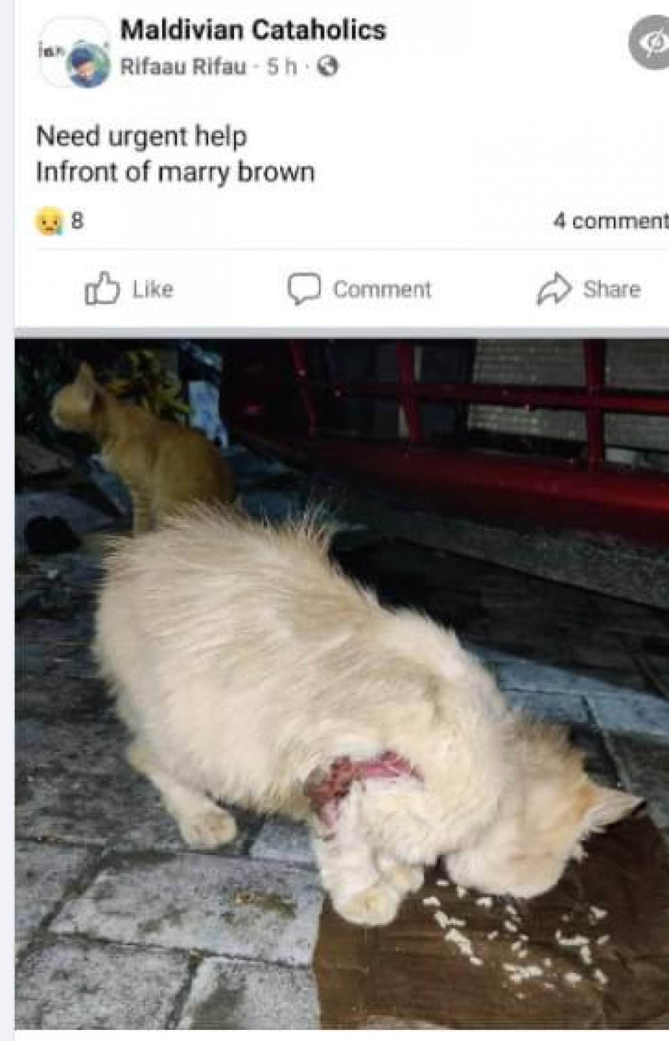 މާލޭގެ މަގެއްގެ މަތީގައި ހާލުގައި ޖެހިފައިވާ ބުޅަލަކަށް އެހީއަށް އެދި ކޮށްފައިވާ ޕޯސްޓެއް -- ފޮޓޯ| ސޯޝަލް މީޑިއާ