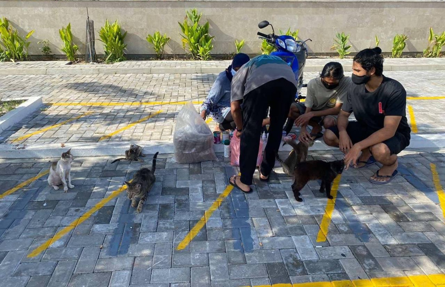 ކެއާ ފޯ ޕޯސްގެ ބައެއް ބައިވެރިން މަގުމަތީގައި އުޅޭ ބުޅާތަކަށް ކާންދެނީ -- ފޮޓޯ| ކެއާ ފޯ ޕޯސް