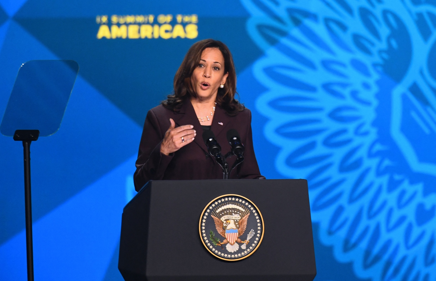 ޑިމޮކްރެޓިކް ޕާޓީގެ އާ ރިޔާސީ ކެންޑިޑޭޓަކަށް ހަމަޖައްސަން ހުށަހެޅުއްވި ނައިބު ރައީސް ކަމަލާ ހެރިސް. -- ފޮޓޯ: އޭއެފްޕީ