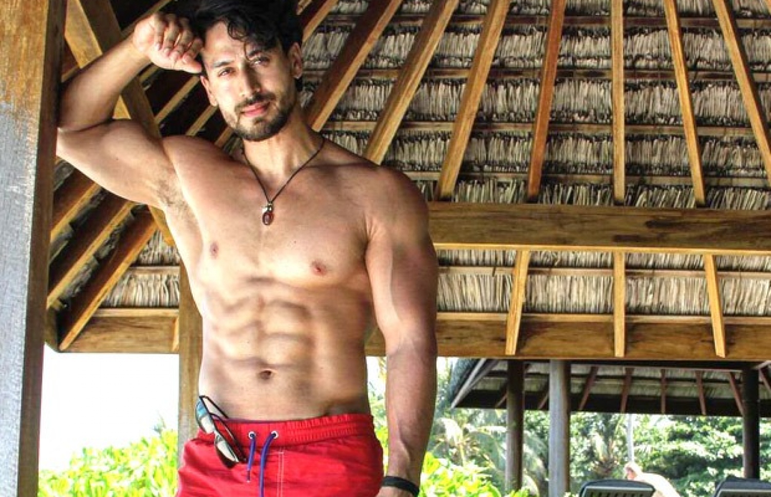 ޓައިގާ ޝްރޮފް.