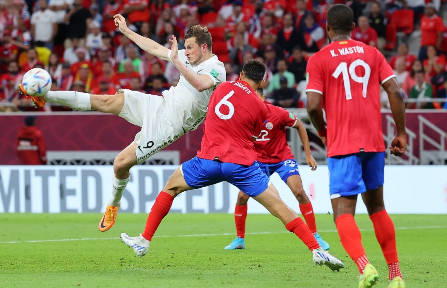 ނިއުޒިލެންޑުގެ ފޯވާޑް ވުޑް، ކޮސްޓާ ރިކާ ގޯލާ އަމާޒުކޮށް ހަމަލައެއް ފޮނުވާޅަން މަސައްކަތް ކުރަނީ.-- ފޮޓޯ: އޭއެފްޕީ