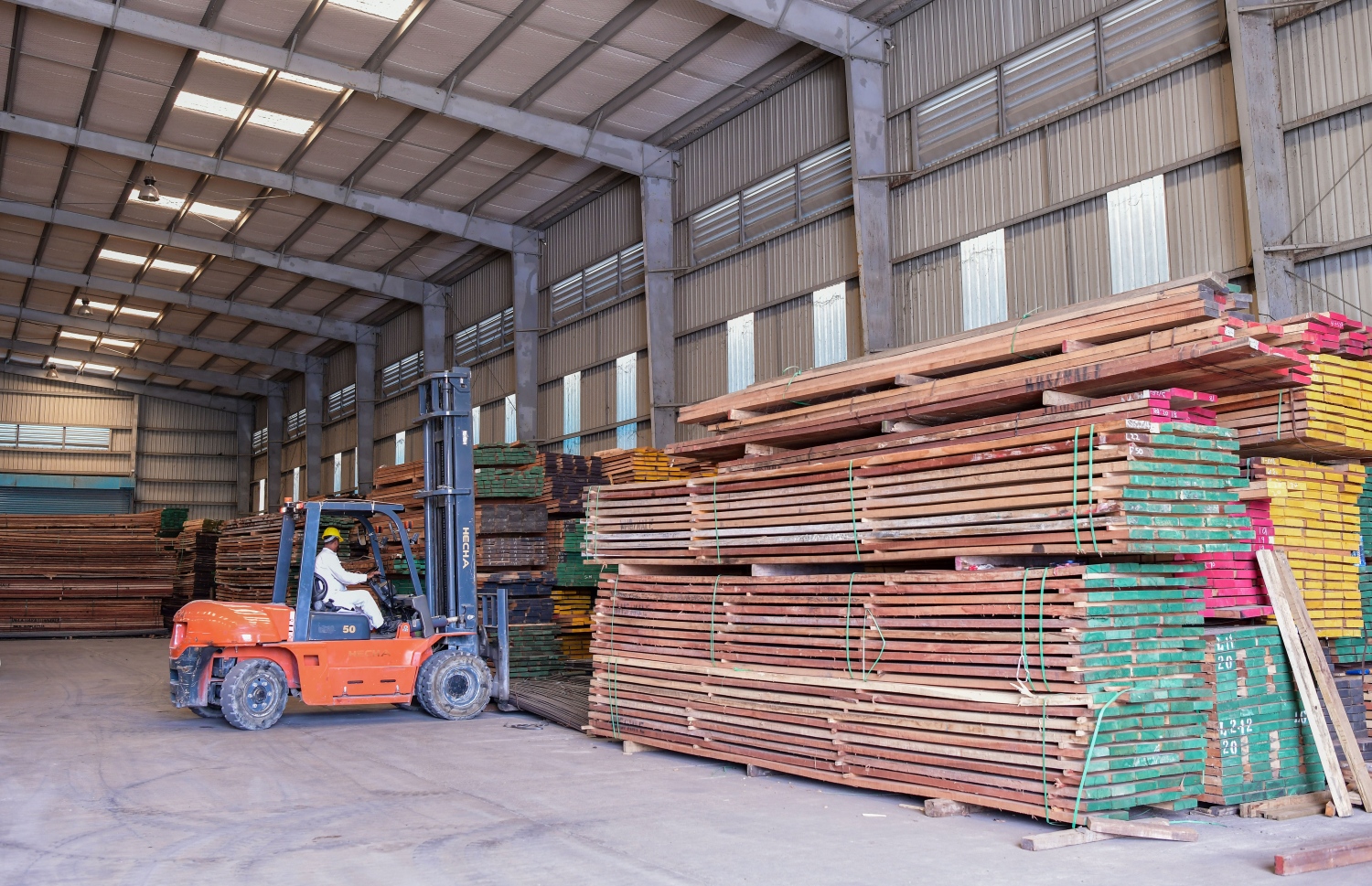 އެޗް ތްރީ އަދި އެޗް ފޯ ގްރޭޑުގެ ޕައިން ވުޑް ފިލާ ވެސް މި ތަނުގައި ހުރޭ. ފޮޓޯ: ފަޔާޒް މޫސާ | މިހާރު