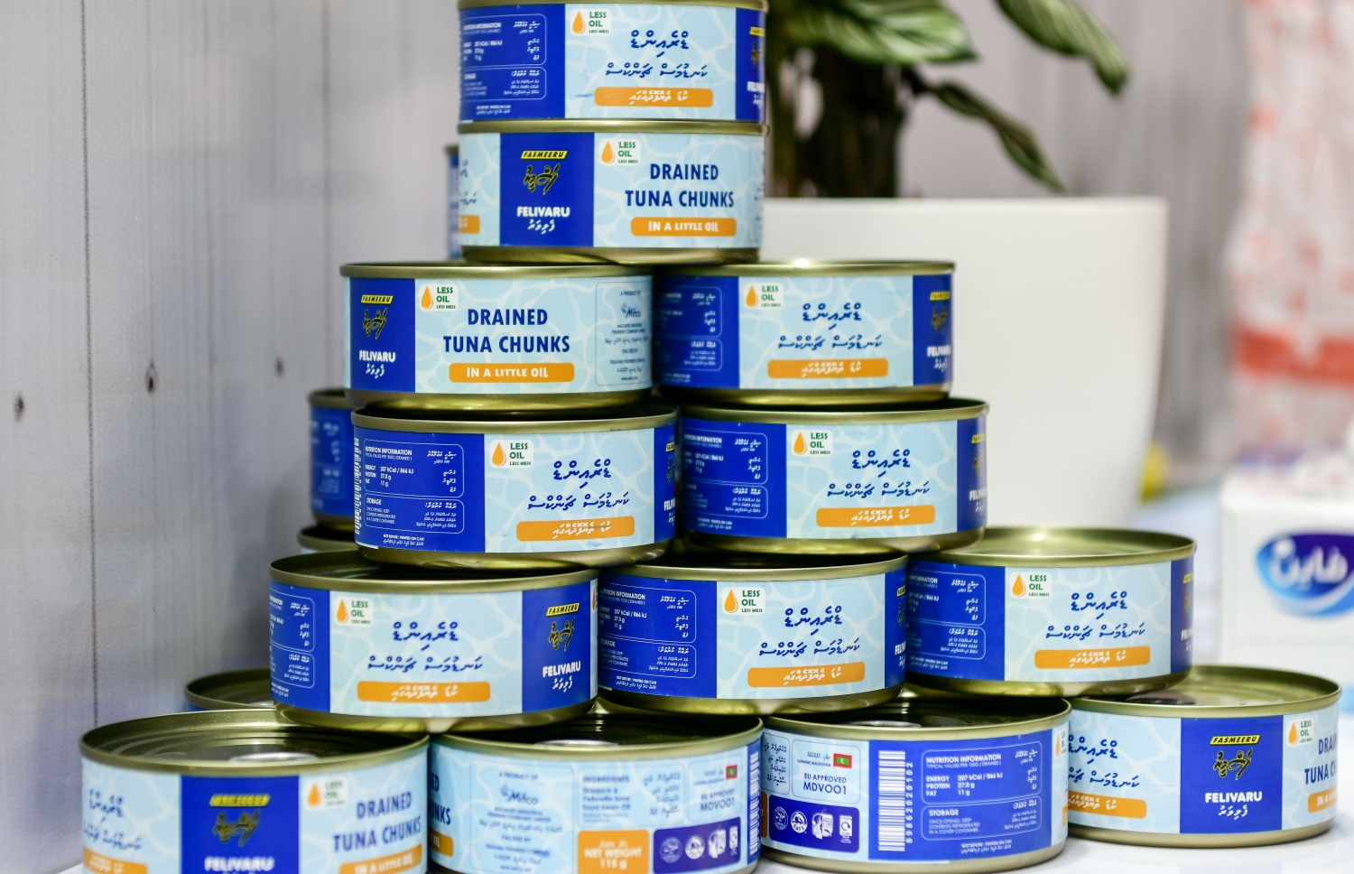 މިފްކޯ އިން އަލަށް ތައާރަފްކުރި "ޑްރެއިންޑް ޓޫނާ ޗަންކްސް" މަސްދަޅުތަކެއް އެސްޓީއޯގައި ވިއްކަން ބަހައްޓާފައި. ---ފޮޓޯ: ނިޝާން އަލީ | މިހާރު