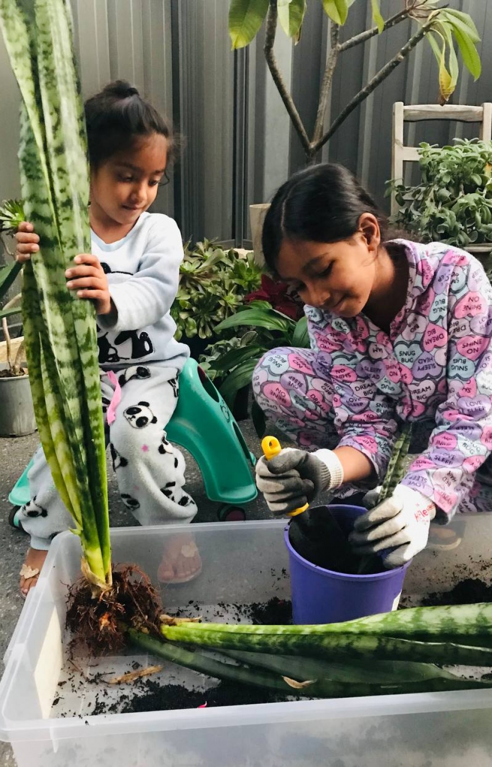 އަލީމް ފައުންޑޭޝަންގެ ހަރަކާތަށް ފައިސާ ހޯދުމަށް، އޭނާގެ ދެ ކުދިން ބައިވެރިވަނީ.-