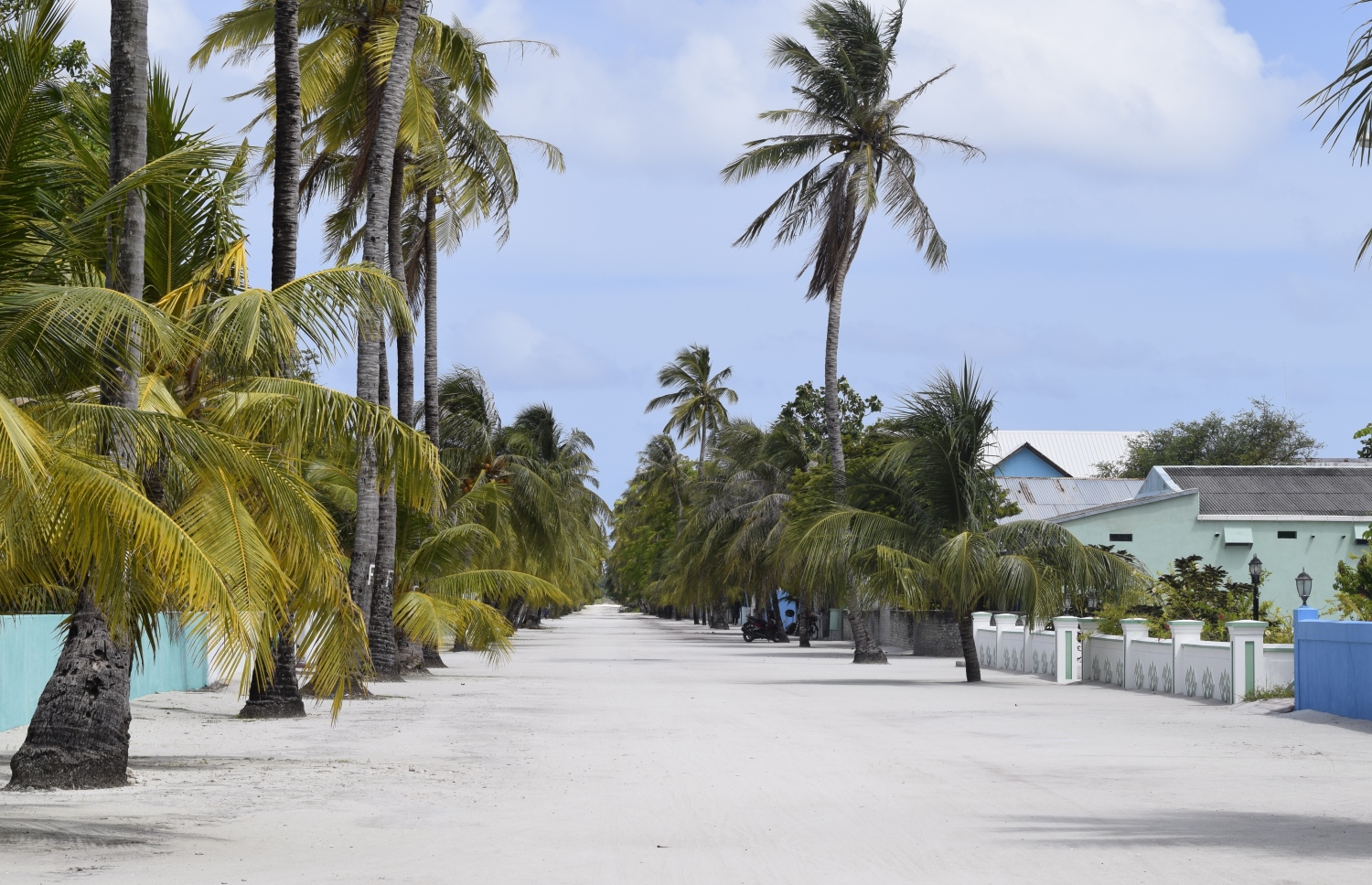 ބޮޑު މަގުގައި އިންދާފައި ހުރި ރުއްތައް. މި ރަށަށް މީހުން ބަދަލުވީ މީގެ 30 އަހަރުކުރިން.