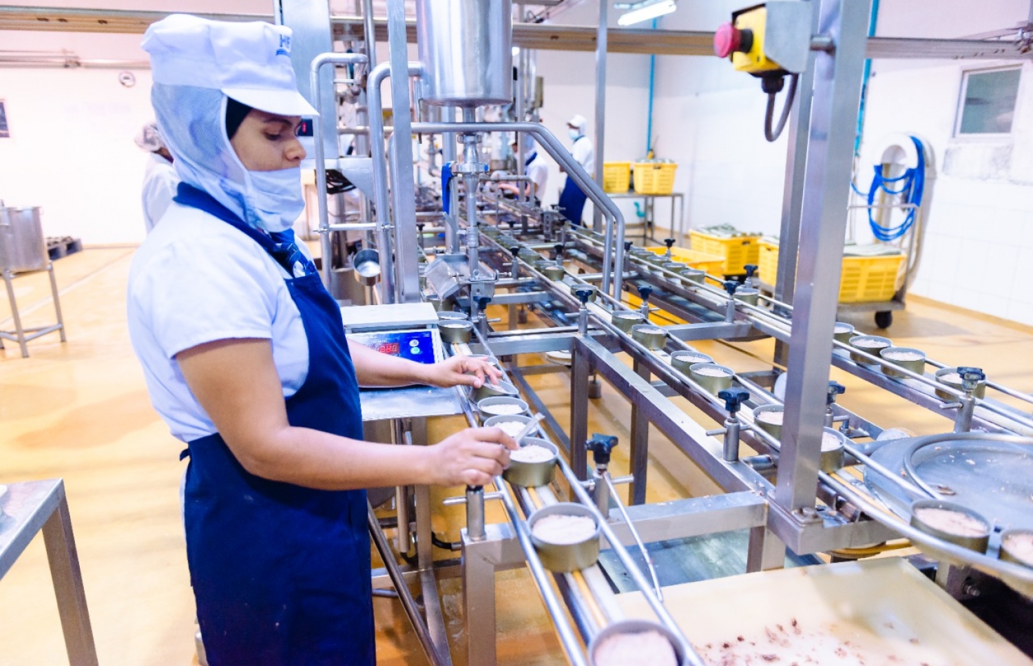 ހޮރައިޒަންގެ މުވައްޒަފެއް މަސްދަޅު ބަންދުކުރަނީ. ހޮރައިޒަންއިން ތަފާތު ގިނަ ވައްތަރުތަކުގެ މަސައްދަޅު ދަނީ އުފައްދަމުން. ފޮޓޯ: ހޮރައިޒަން ފިޝަރީޒް